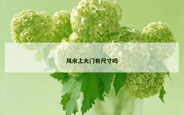 风水上大门有尺寸吗