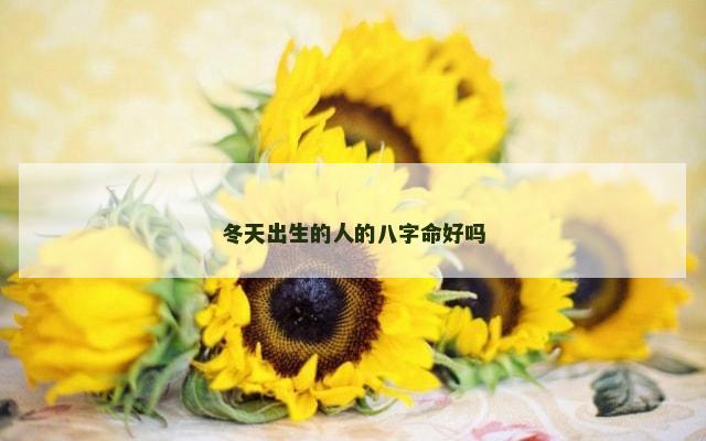 冬天出生的人的八字命好吗