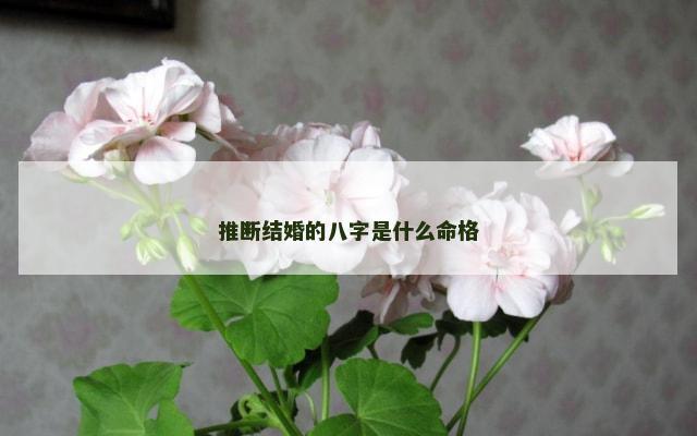 推断结婚的八字是什么命格