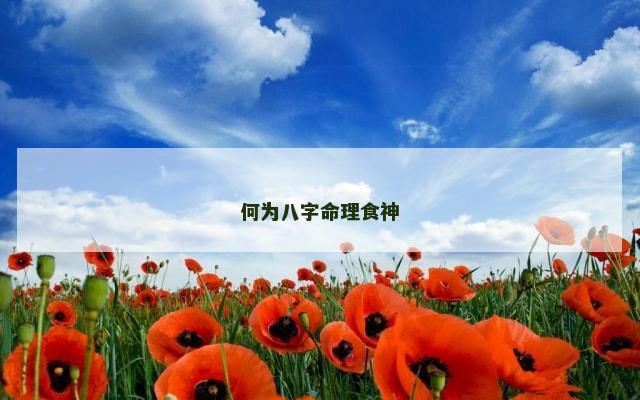 何为八字命理食神