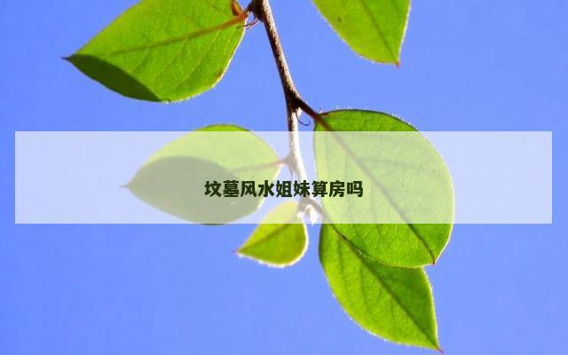 坟墓风水姐妹算房吗