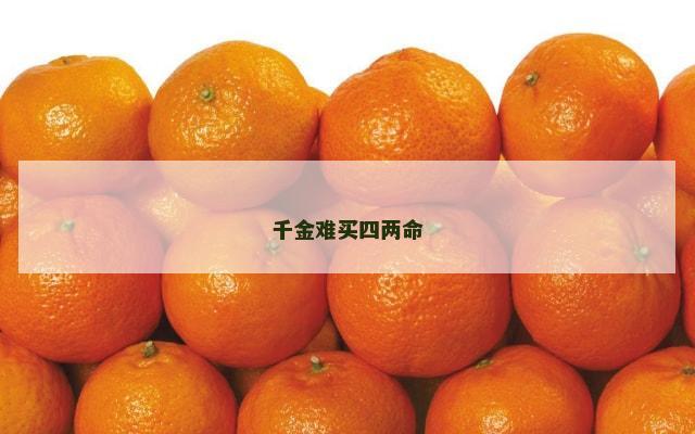 千金难买四两命