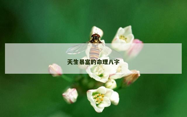 天生暴富的命理八字