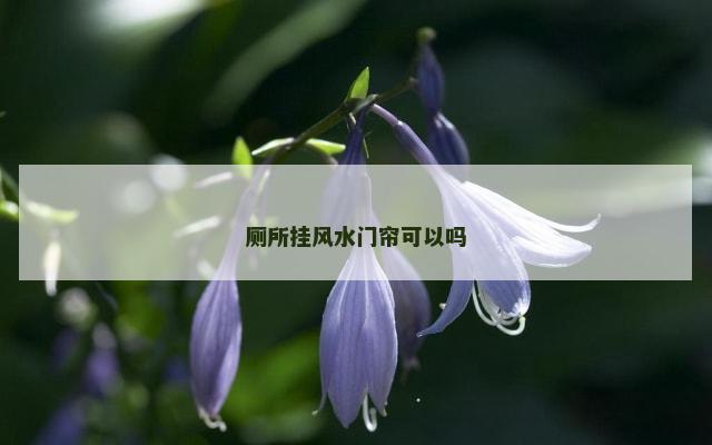 厕所挂风水门帘可以吗