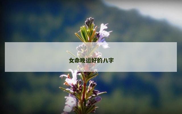 女命晚运好的八字