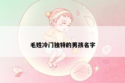 毛姓冷门独特的男孩名字