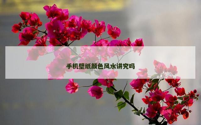 手机壁纸颜色风水讲究吗