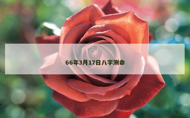 66年3月17日八字测命