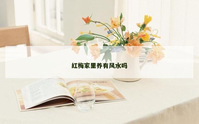 红梅家里养有风水吗