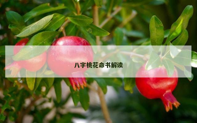 八字桃花命书解读