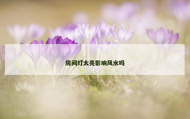 房间灯太亮影响风水吗
