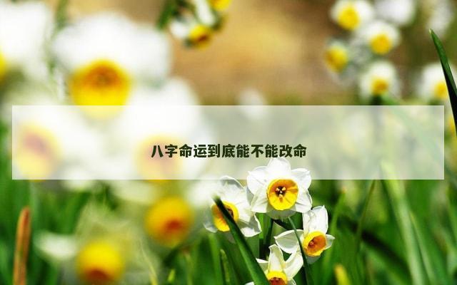 八字命运到底能不能改命