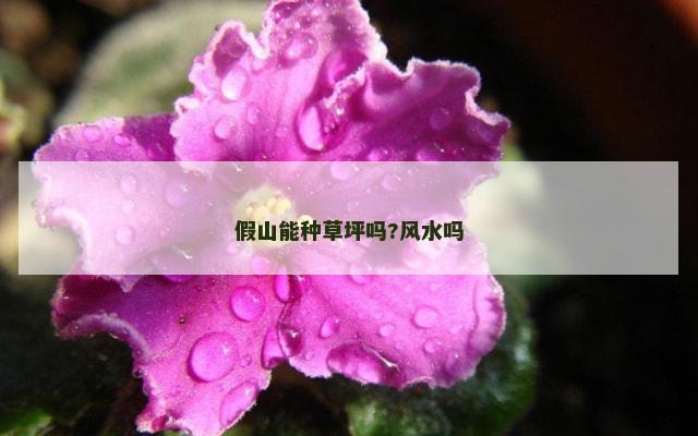 假山能种草坪吗?风水吗