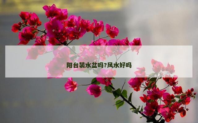 阳台装水盆吗?风水好吗