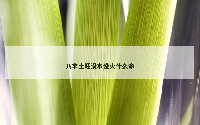 八字土旺没木没火什么命