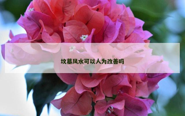 坟墓风水可以人为改善吗