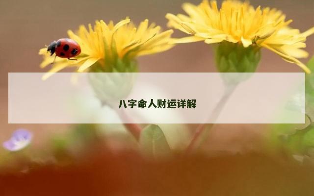 八字命人财运详解