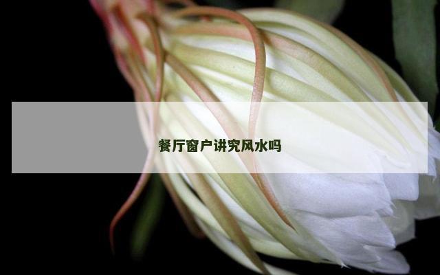 餐厅窗户讲究风水吗