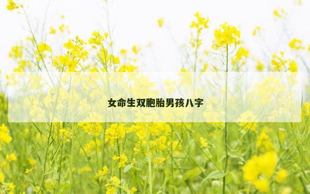 女命生双胞胎男孩八字