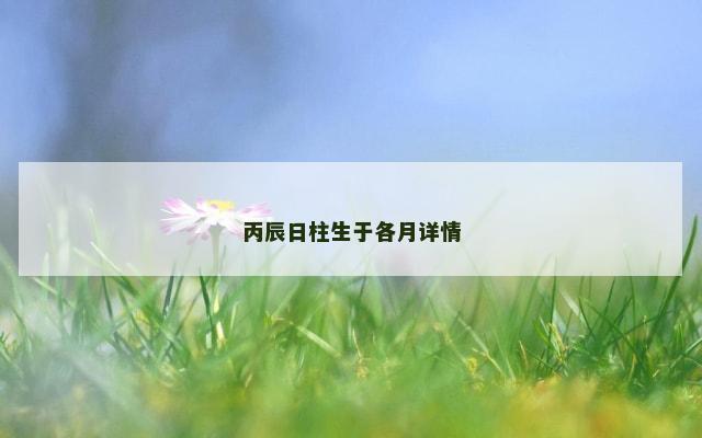 丙辰日柱生于各月详情