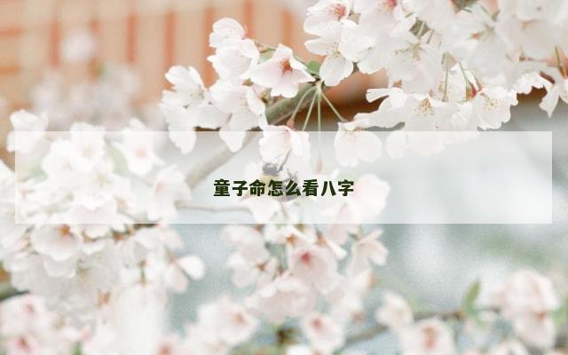童子命怎么看八字