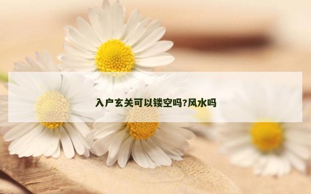 入户玄关可以镂空吗?风水吗