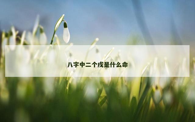八字中二个戌是什么命