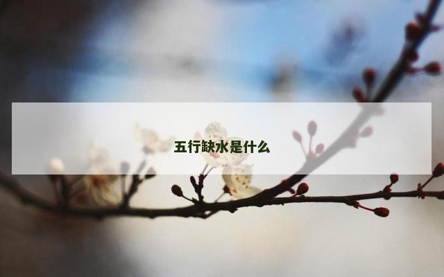 五行缺水是什么