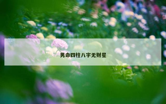 男命四柱八字无财星