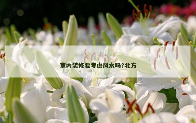 室内装修要考虑风水吗?北方