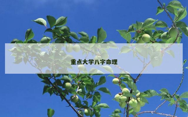 重点大学八字命理
