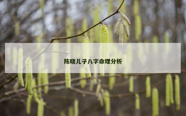 陈晓儿子八字命理分析