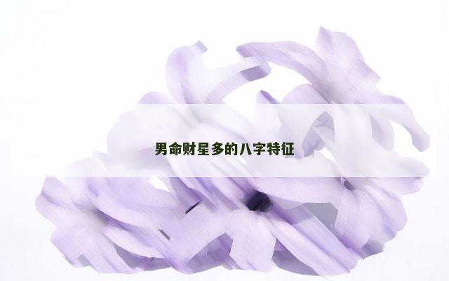 男命财星多的八字特征