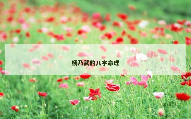 杨乃武的八字命理