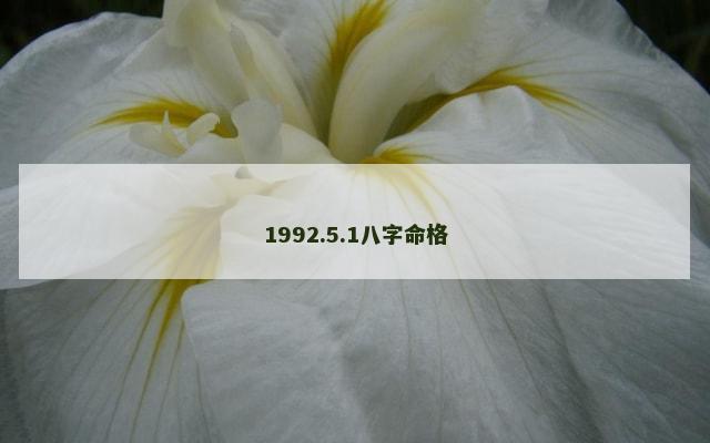 1992.5.1八字命格