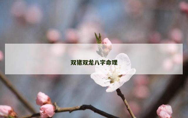 双猪双龙八字命理