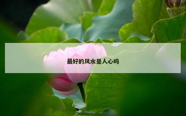 最好的风水是人心吗