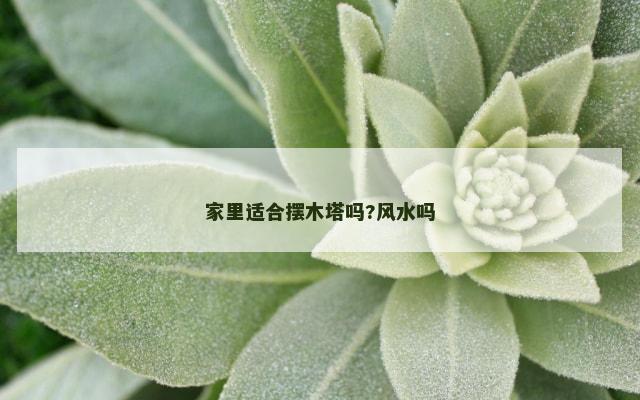 家里适合摆木塔吗?风水吗