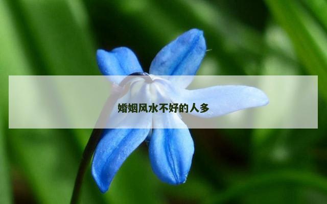 婚姻风水不好的人多