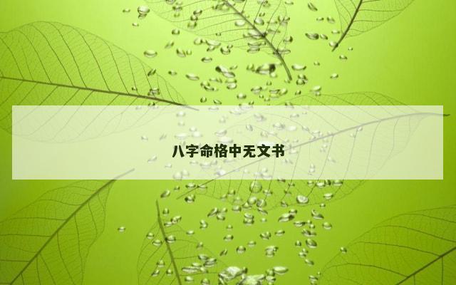 八字命格中无文书