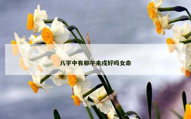 八字中有卯午未戌好吗女命