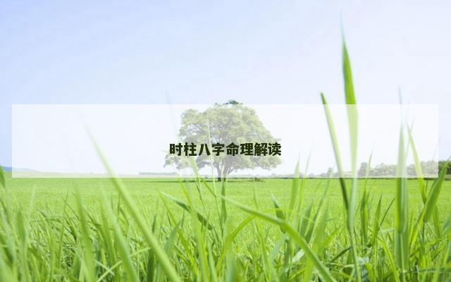 时柱八字命理解读
