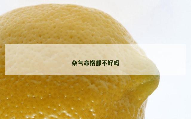 杂气命格都不好吗