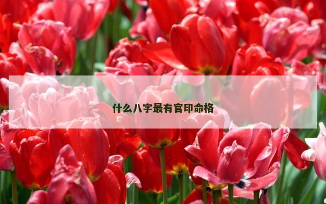 什么八字最有官印命格