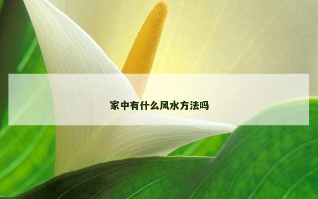 家中有什么风水方法吗