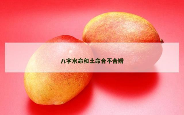 八字水命和土命合不合婚