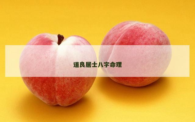 道良居士八字命理