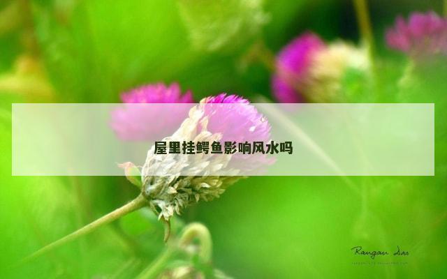屋里挂鳄鱼影响风水吗