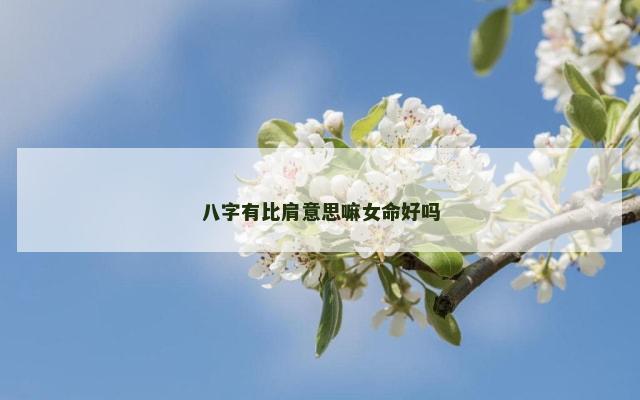 八字有比肩意思嘛女命好吗