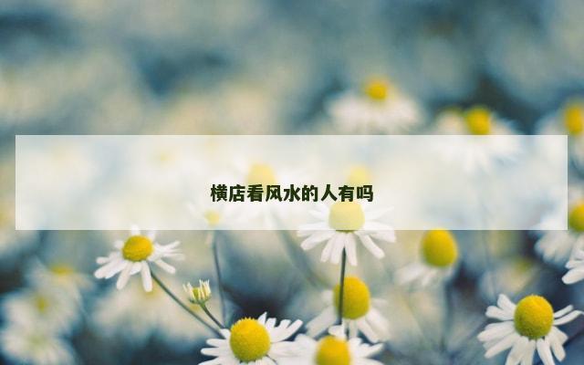 横店看风水的人有吗